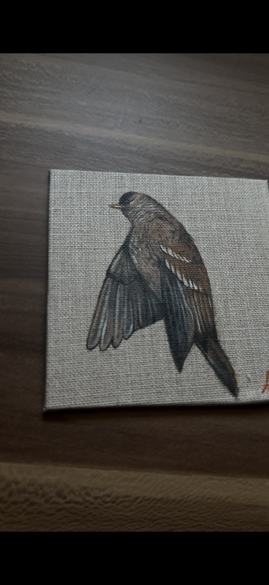 Bird Study Original Oil Painting
