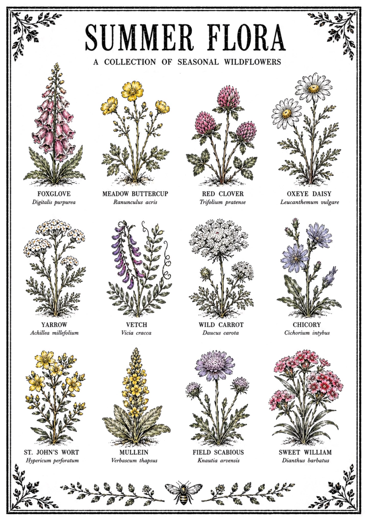 Summer Flora Original Illustration Print