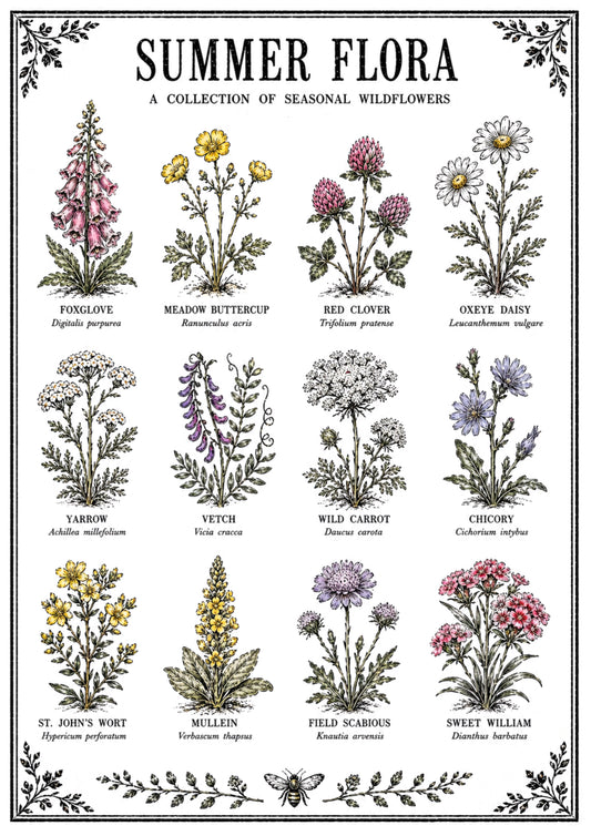 Summer Flora Original Illustration Print