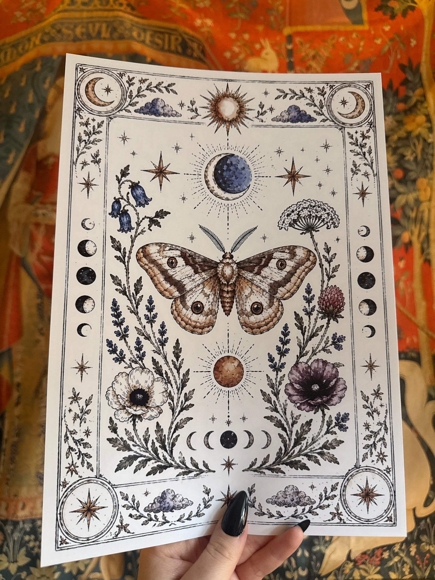 Celestial Moth Illustration Print