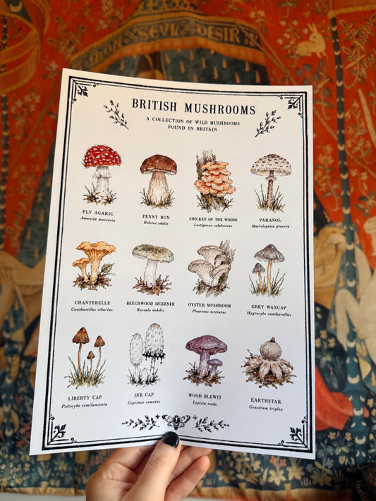 British Mushroom A4 Original Artwork Botanical Print