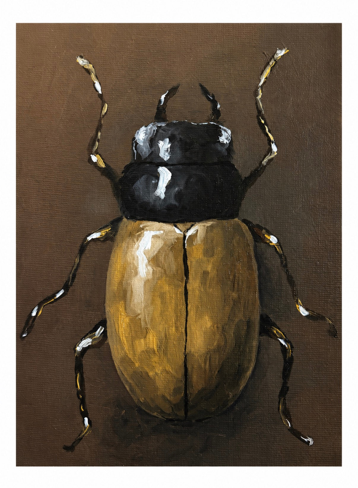 "Coleoptera" Original Oil Painting Beetle