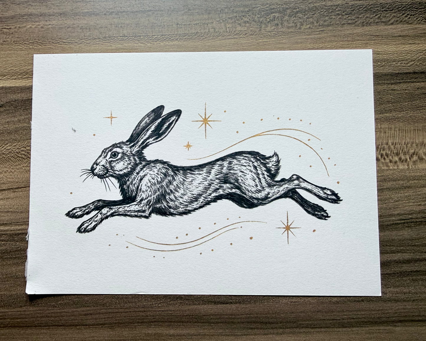 Hare Illustration A5 Print