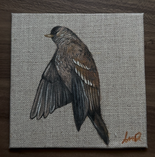 Bird Study Original Oil Painting