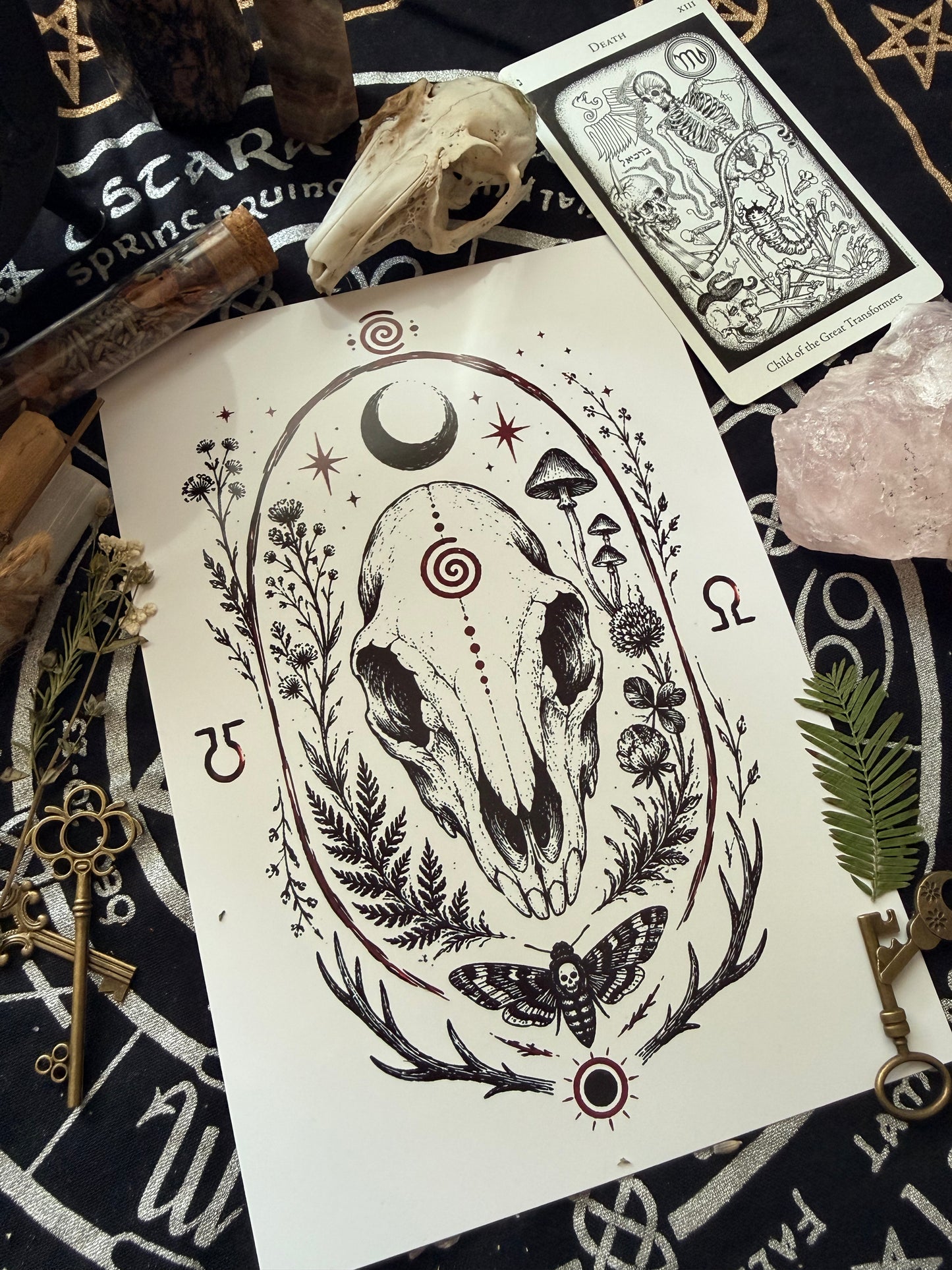 Rabbit Skull Life and Death Original Illustration Print