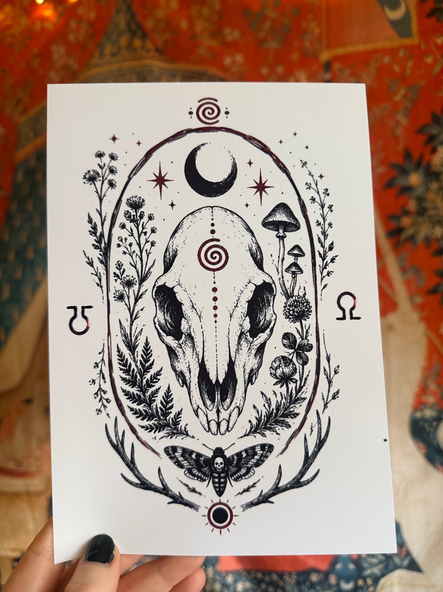 Rabbit Skull Life and Death Original Illustration Print