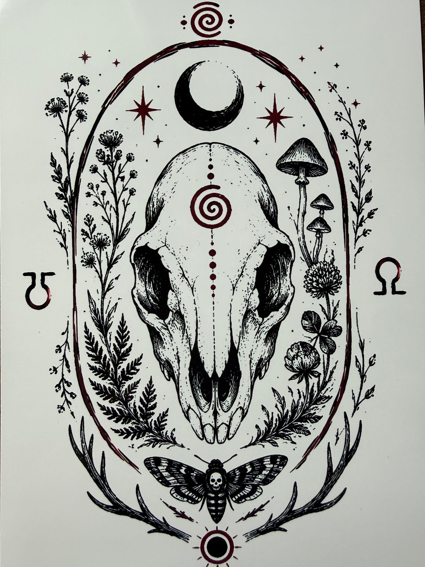 Rabbit Skull Life and Death Original Illustration Print