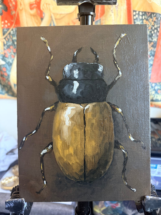 "Coleoptera" Original Oil Painting Beetle