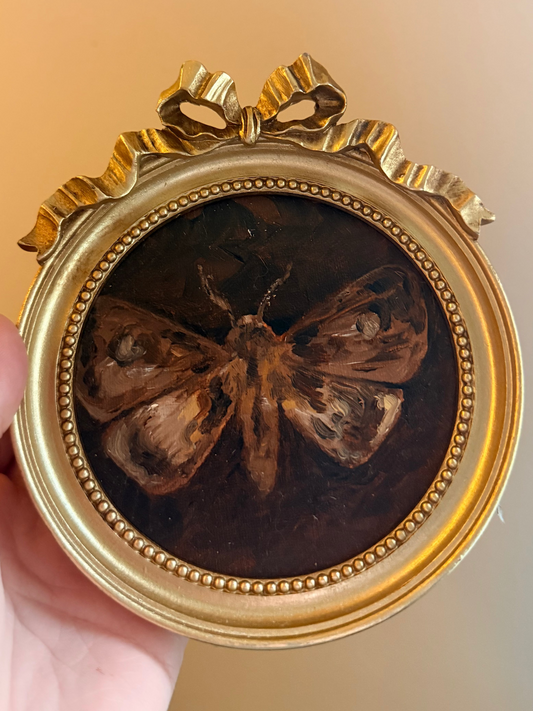 "Lepidoptera" Original framed Moth oil painting